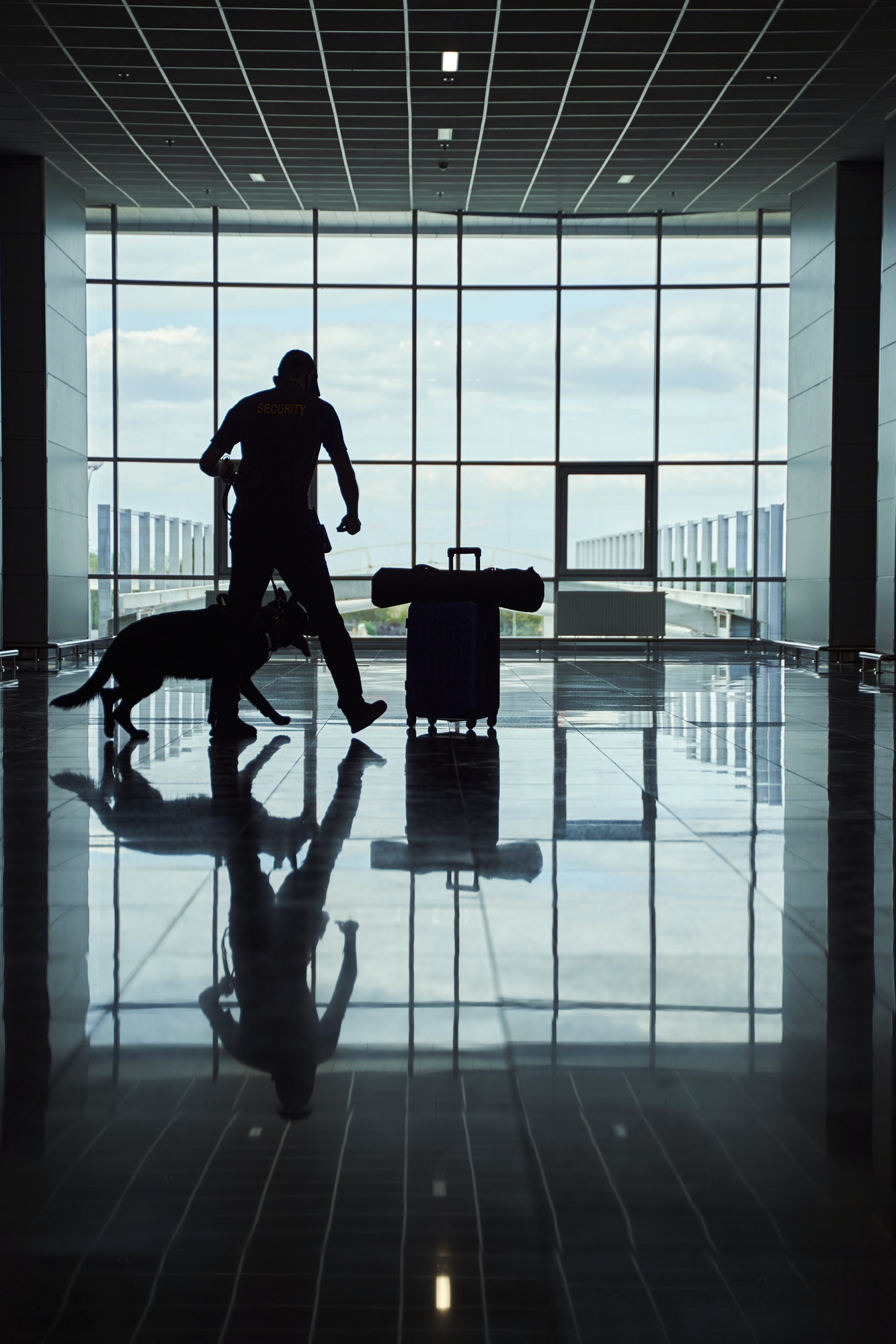 security-worker-with-detection-dog-checking-luggage-at-airport.jpg